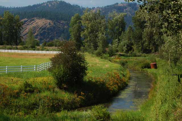 the White Pines Scenic Byway